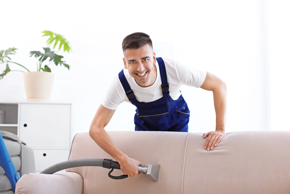 High-Quality Carpet Image