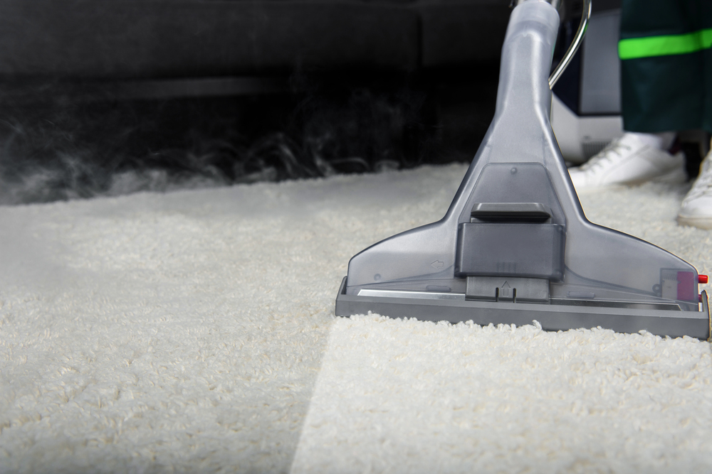 Carpet Cleaning and Repair